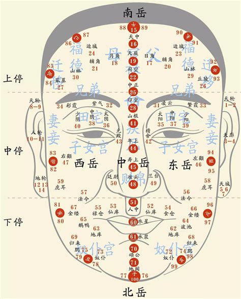 面相流年部位|面相